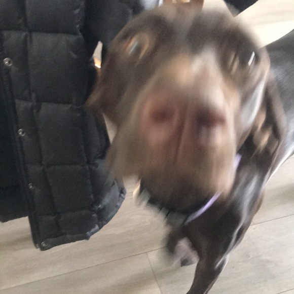 North face down jacket - Picture 2 of 4